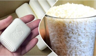 prevent pantry pests and moisture