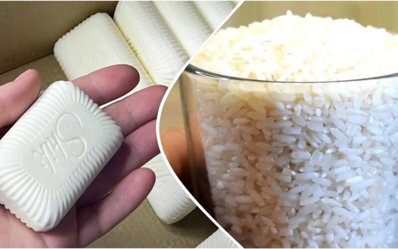 prevent pantry pests and moisture