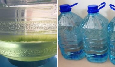 preventing stored water algae