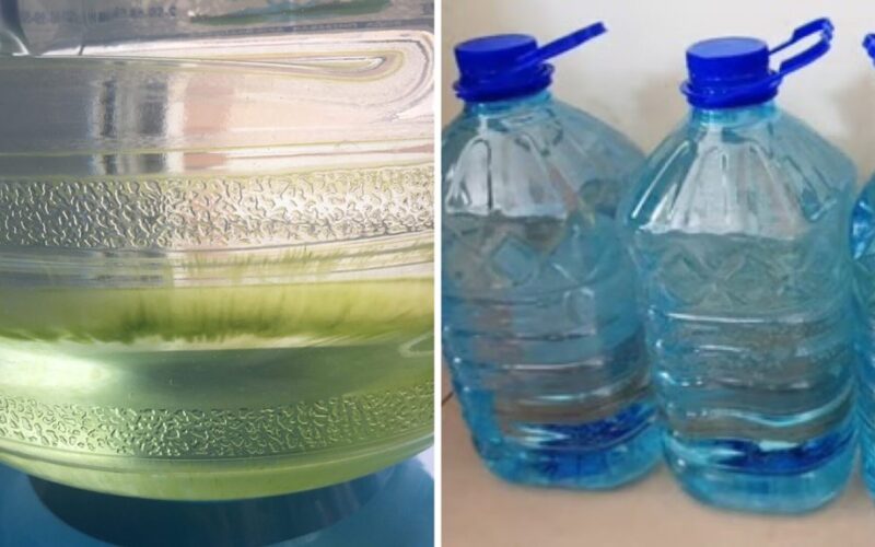 preventing stored water algae