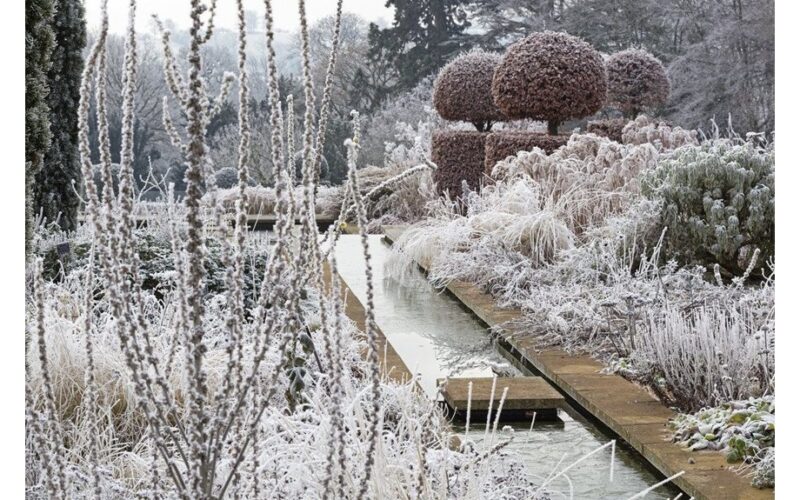 protect fruit trees with mulch