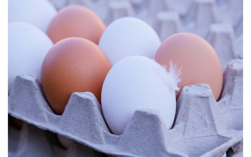 quickly peel boiled eggs