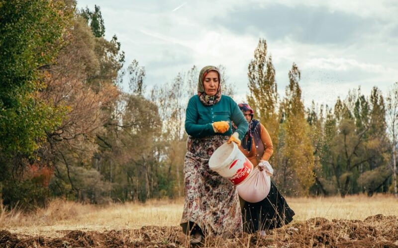 reduce fungal diseases deter pests