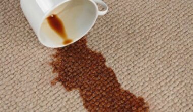 remove caffeine stains from upholstery