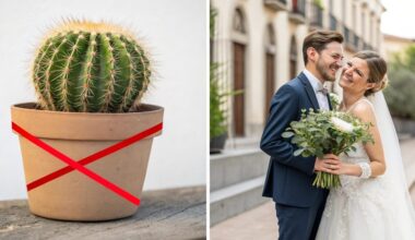 removing cacti sparked romance