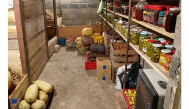 sack stops cellar humidity