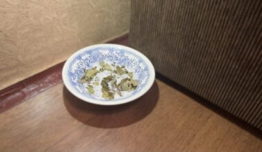 salt and bay leaves ritual