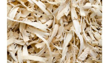 sawdust transforms compacted soil