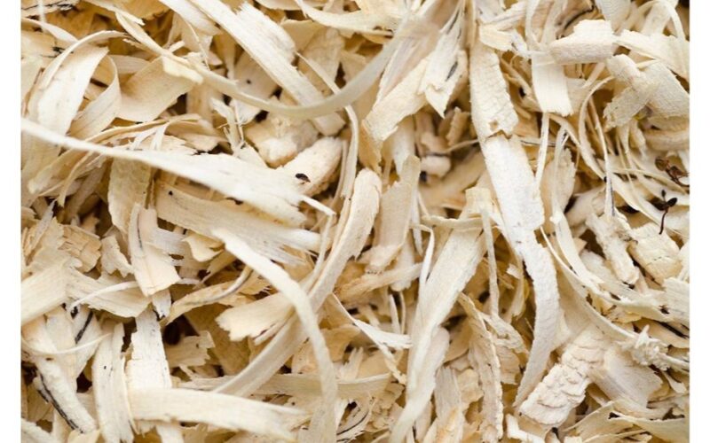 sawdust transforms compacted soil