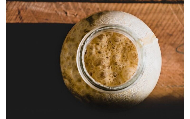 sugar yeast gardening pause