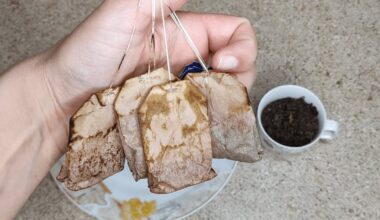 tea bag cleans toilet scale