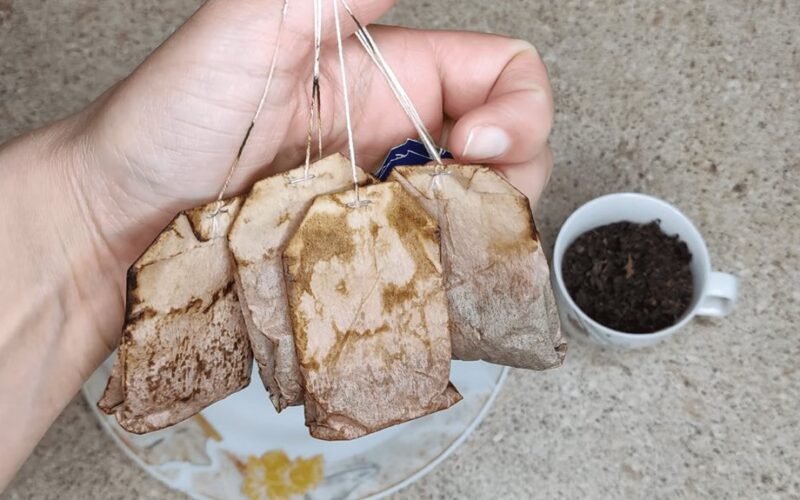 tea bag cleans toilet scale