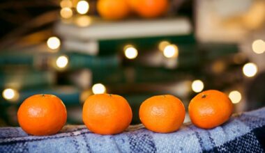 use tangerine peels radiator