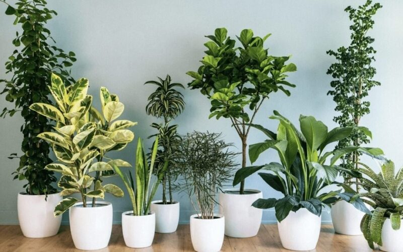 using bottled water exclusively