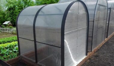 vinegar cleared greenhouse mold and gnats