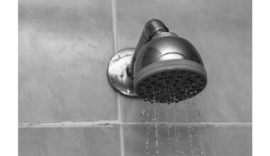vinegar dissolves showerhead buildup