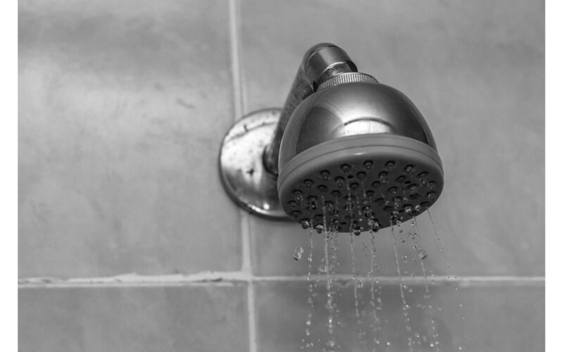 vinegar dissolves showerhead buildup