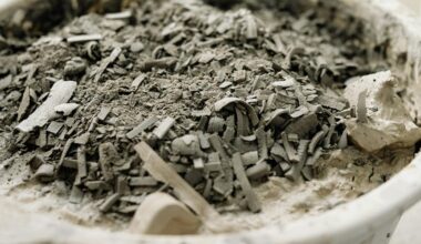 when ash turns toxic