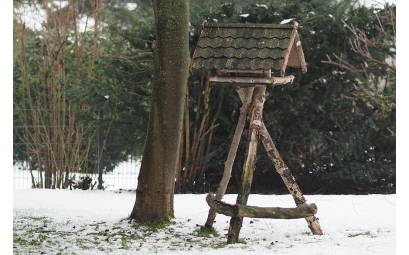 winter garden prep five tips