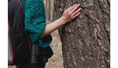 Klausinėti pagyvenusių žmonių apie prietarus