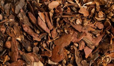 avoid using bark mulch