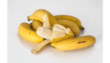 banana peel fertilizer boosts yields