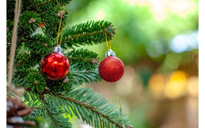 bauble colors follow tradition rule