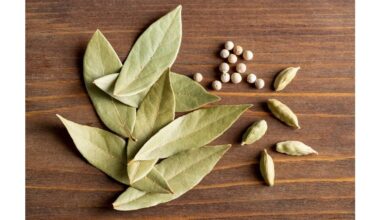 bay leaf luck remedies