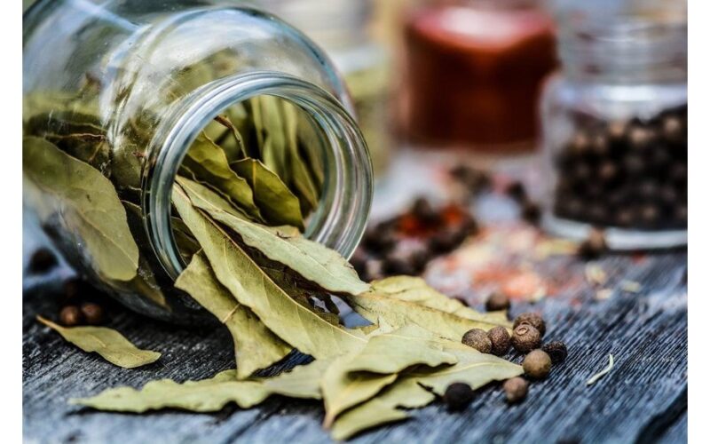 bay leaf under fridge