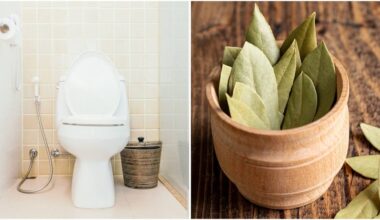 bay leaves in toilet tank