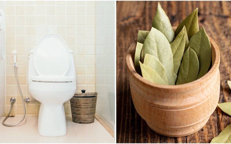 bay leaves in toilet tank