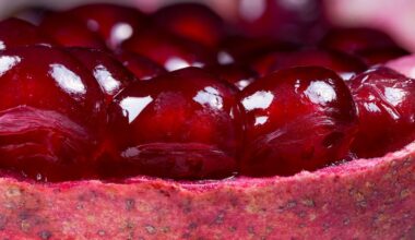 best ways to eat pomegranate