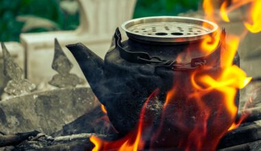 black tea boosts energy