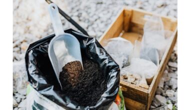 buying fertilizers early february