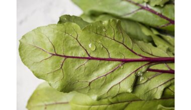 cheap beet greens nutrient rich