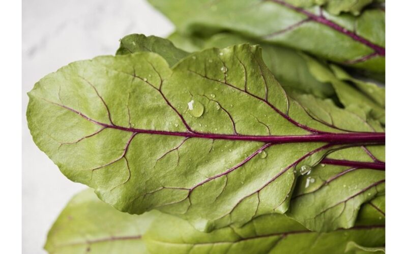 cheap beet greens nutrient rich