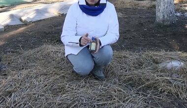 checking thermometer then gardening