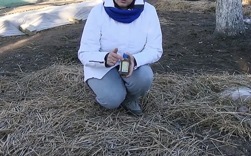 checking thermometer then gardening