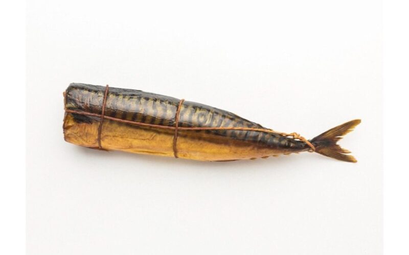 choose fresh firm mackerel