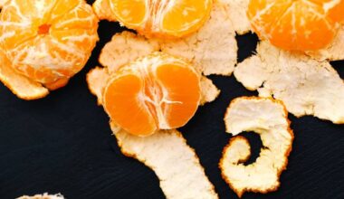 citrus scented radiator hospitality enchantment