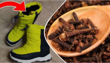cloves in shoes odor remedy