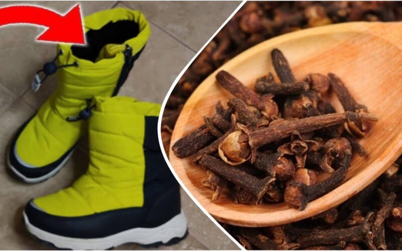 cloves in shoes odor remedy