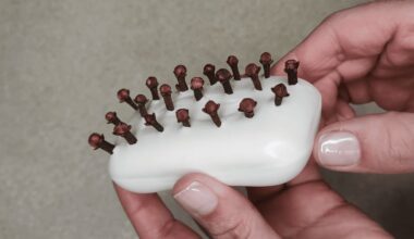 cloves infused homemade soap experiment