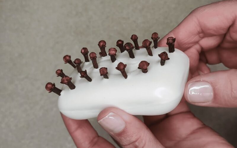 cloves infused homemade soap experiment