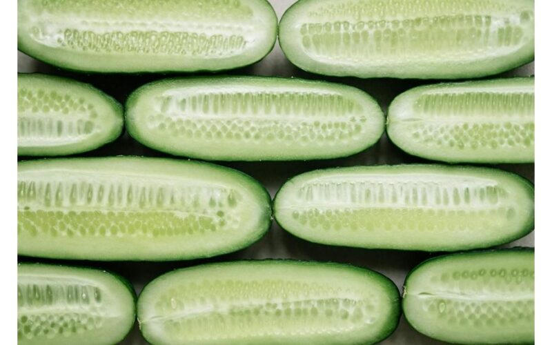 agurkai užauga meliono dydžio