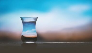 dietitian dispels nutrition myths