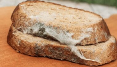 different molds different safety