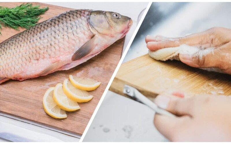 fish cleaning cutting board odor