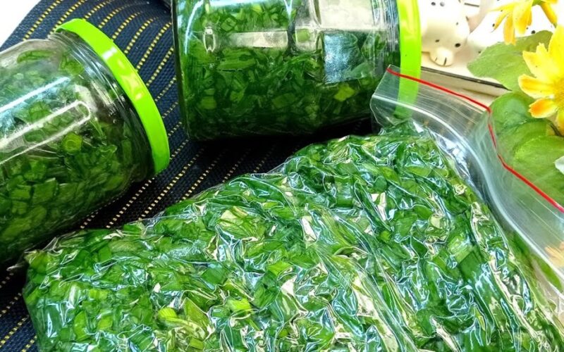 freeze green onions perfectly preserved