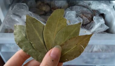 freezer bowl with bayleaves